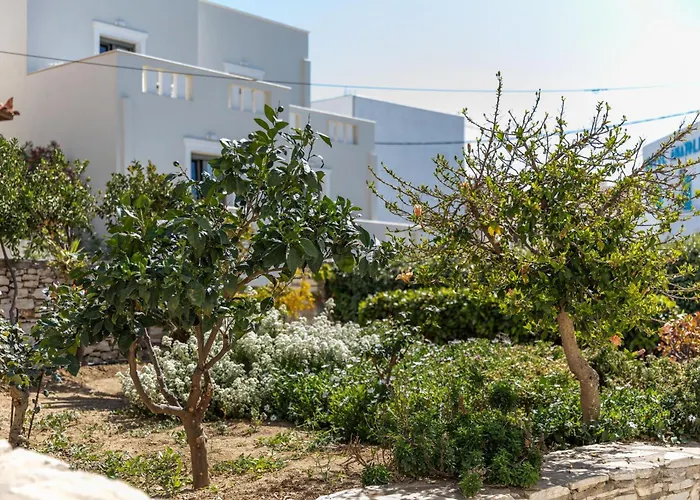 Mary Jo's * Naxos City